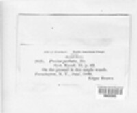 Image Associated With the Occurence